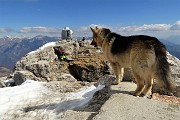 In GRIGNETTA (2177 m) ad anello Cresta Cermenati – Sentiero delle Capre dal Pian dei Resinelli il 27 marzo 2019 - FOTOGALLERY